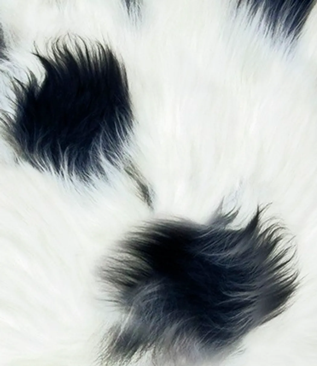 material_farbe