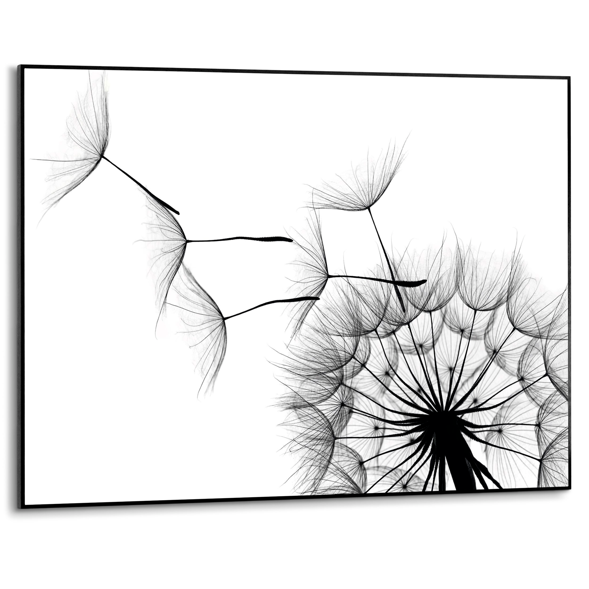 Wandbild 70 x 50 cm