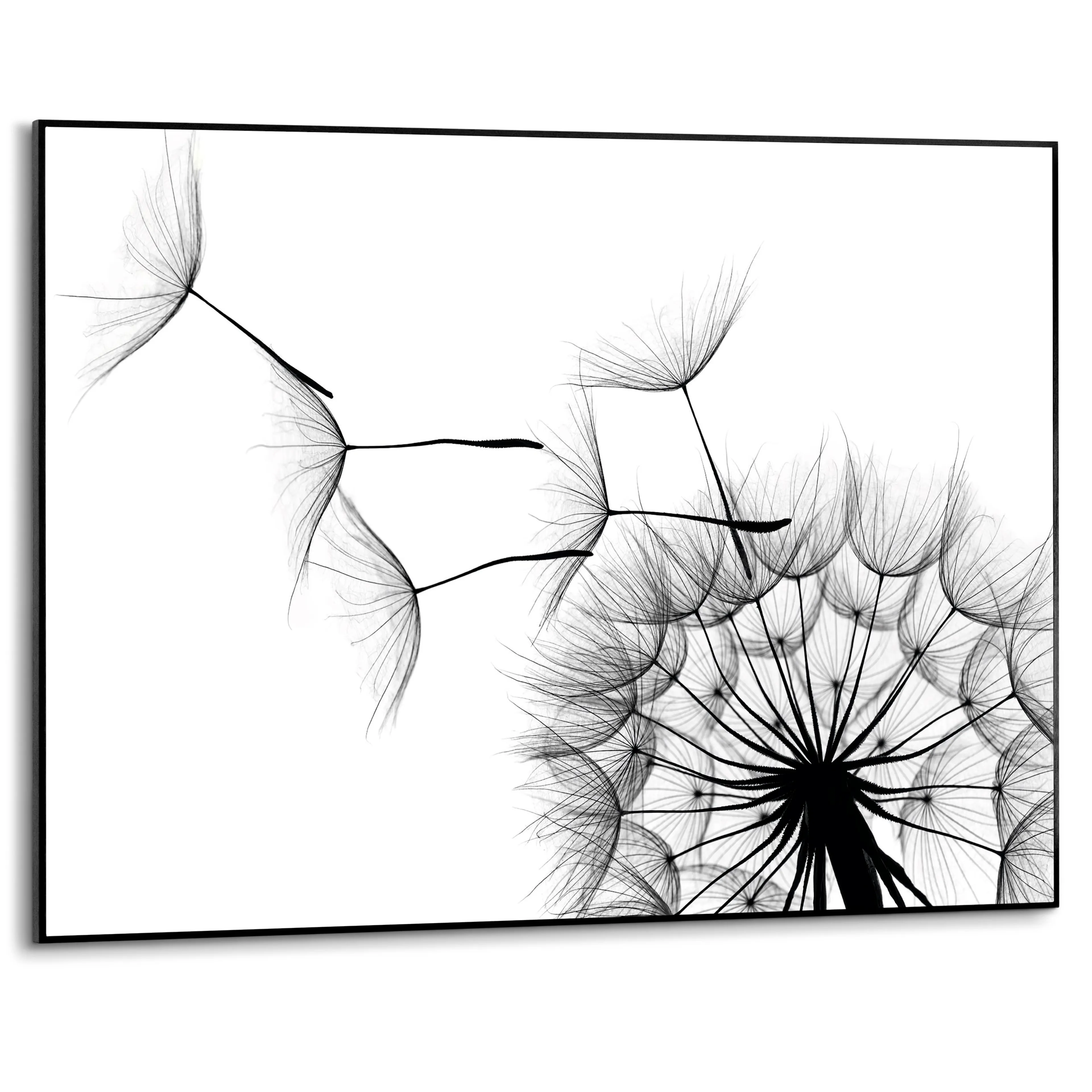 Wandbild 70 x 50 cm Dandelion
