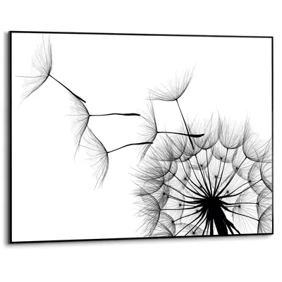 Wandbild 70 x 50 cm