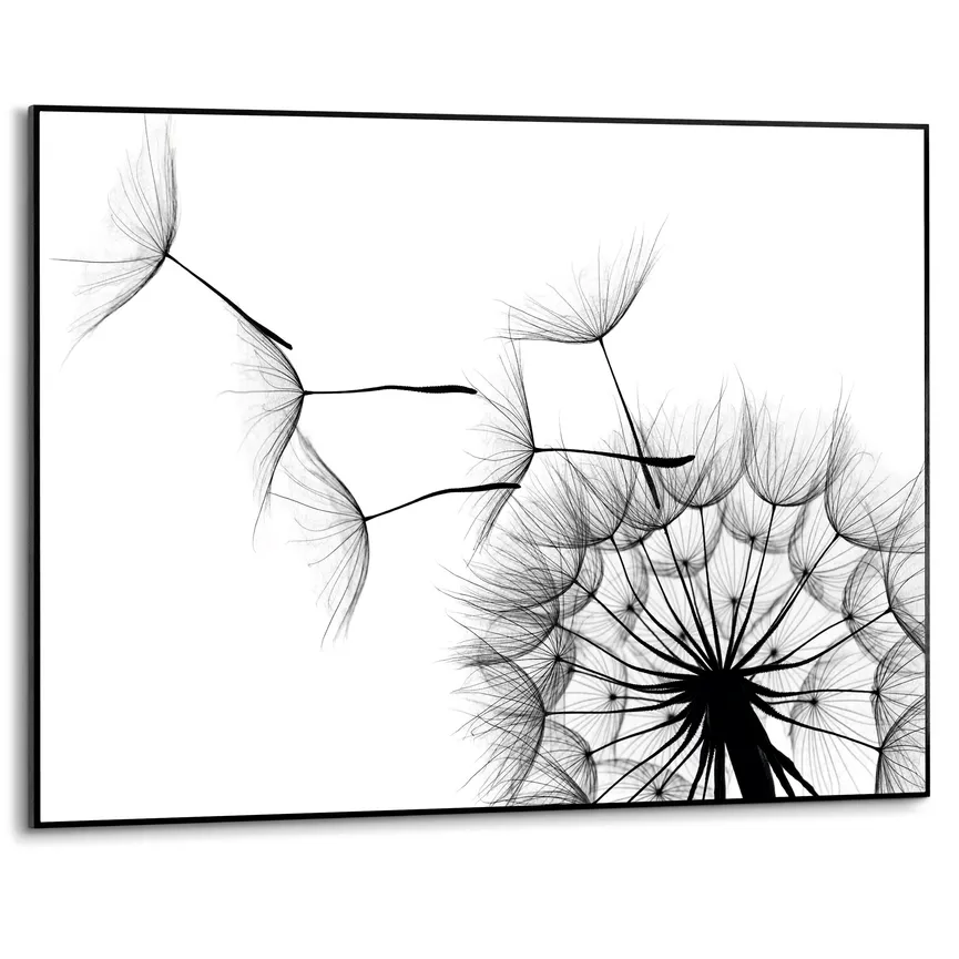 Bild gerahmt "Dandelion" hauptaufnahme