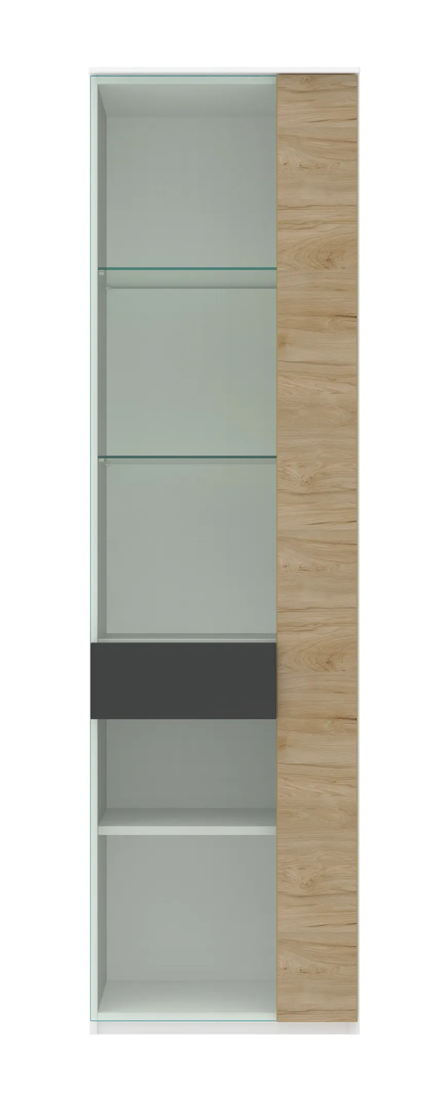 Vitrine 1-trg. detail