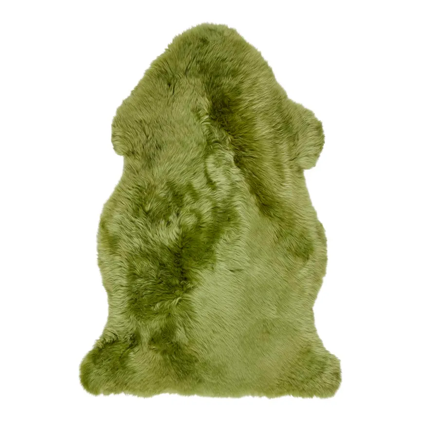 Schaf- hauptaufnahme