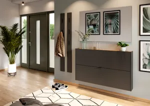 Hängeschuhschrank