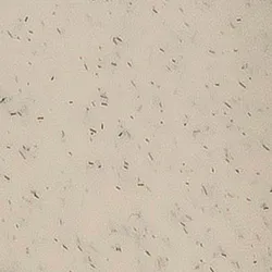 Beige material_farbe