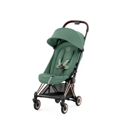 Buggy