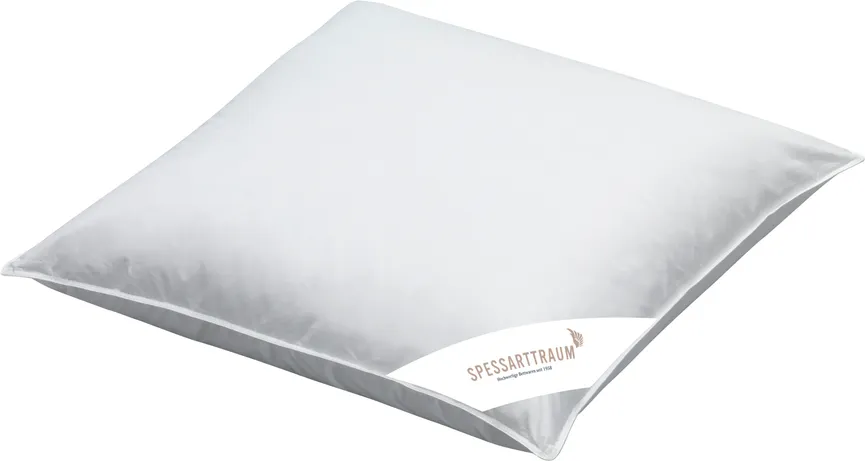 3K-Kissen 40%D/60%F hauptaufnahme