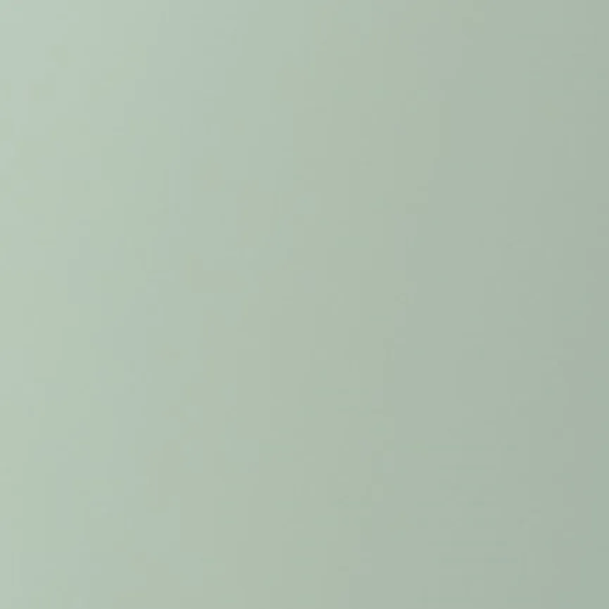 Salatbesteck Silueta 2tlg. material_farbe