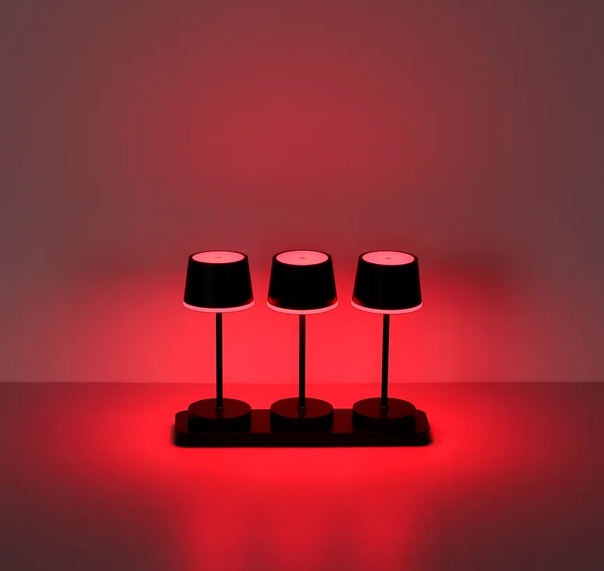 Akku-Tischleuchte "Dawson" detail