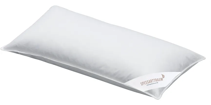 3K-Kissen 40%D/60%F hauptaufnahme