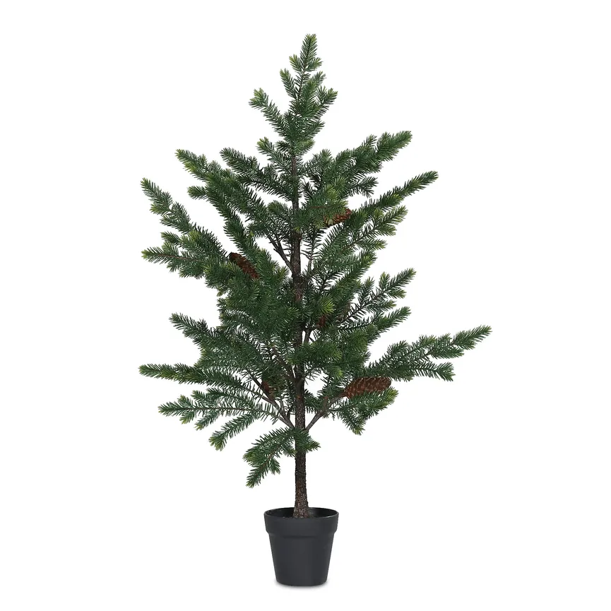 Tannenbaum S hauptaufnahme