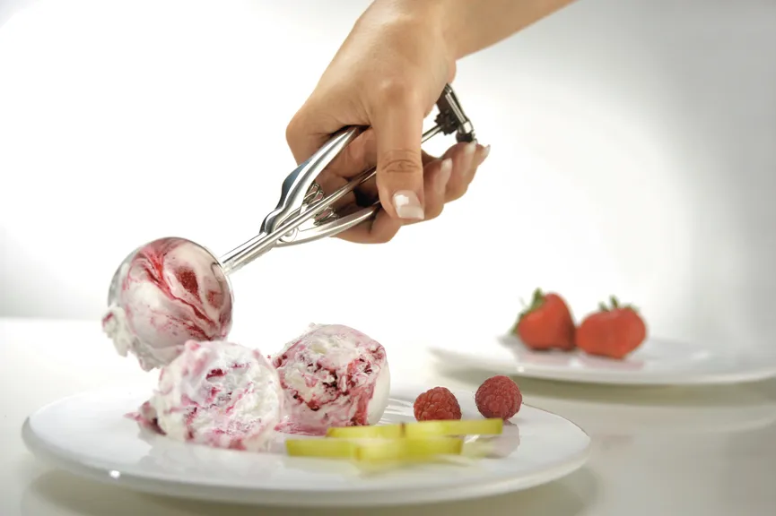 Eisportionierer GEPALINA milieu