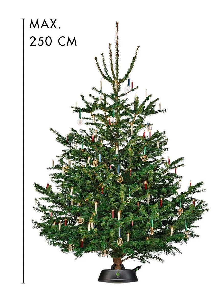 Christbaumständer "Green Line" detail