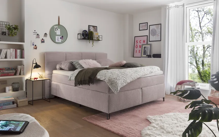 Boxspringbett 160 milieu