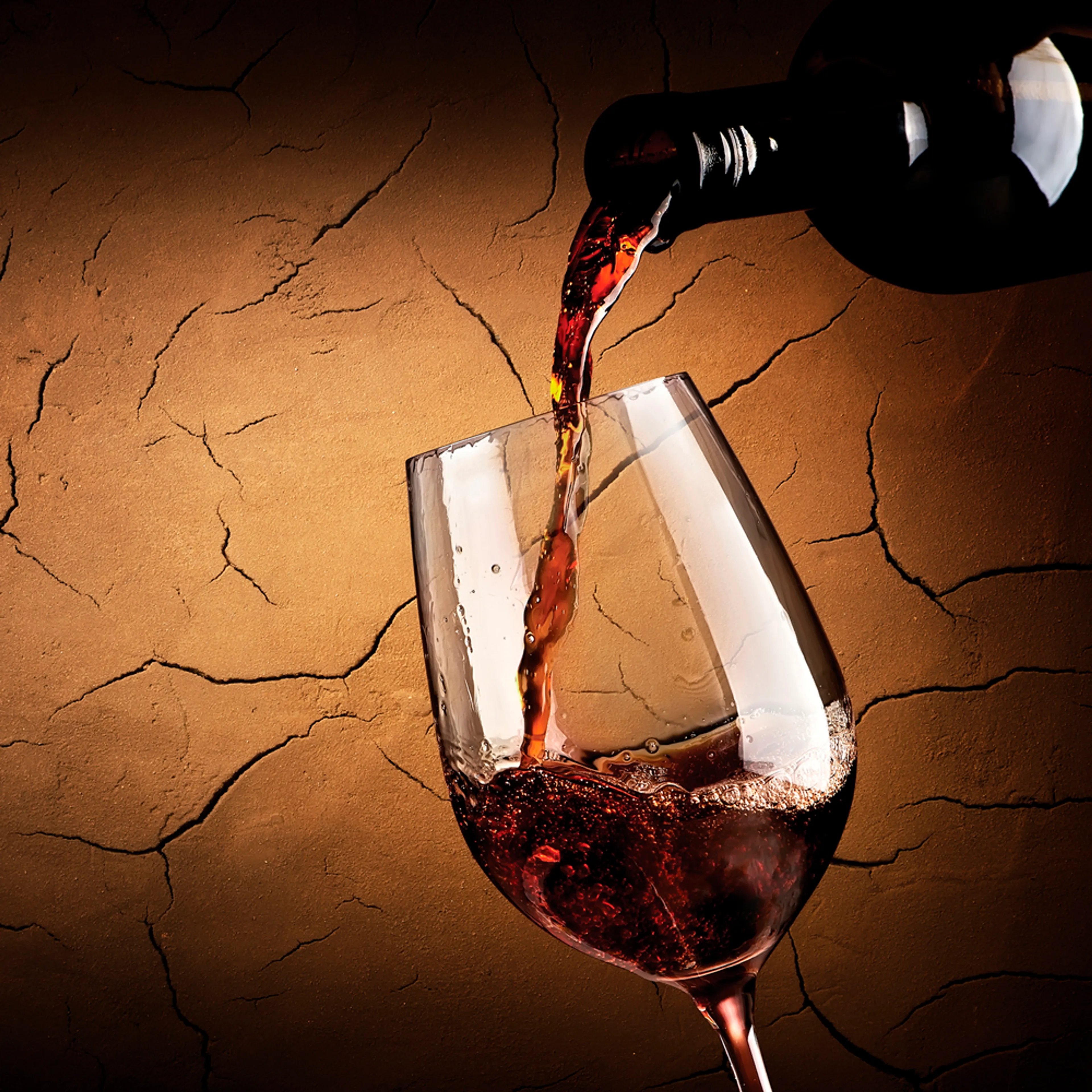 Glasbild 30 x 30 cm Red wine IV
