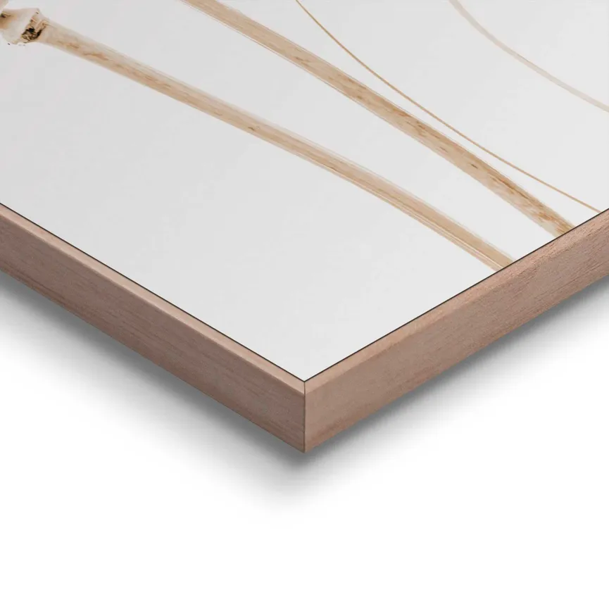 Bild gerahmt "Flower Stills" detail