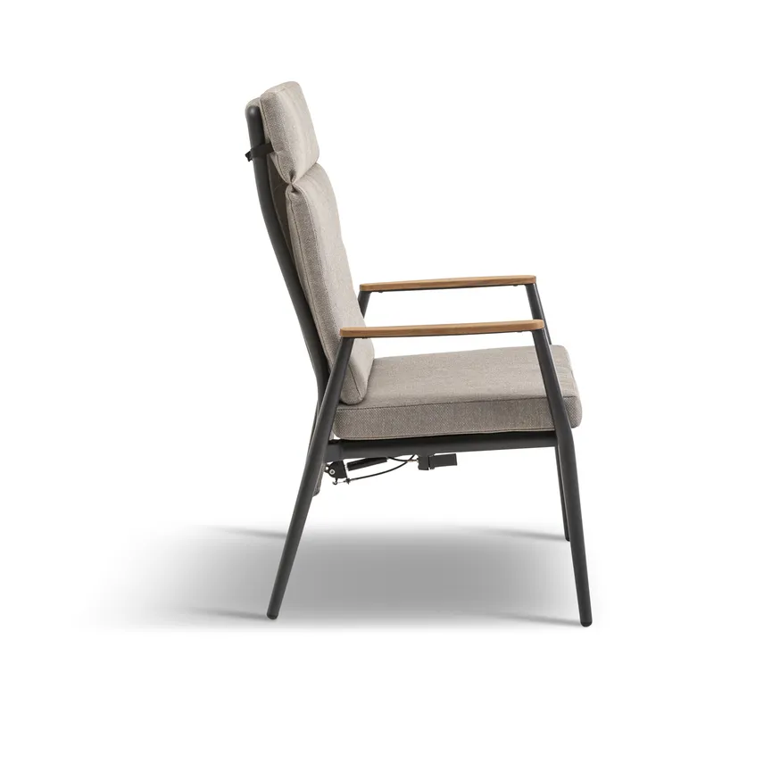 Dining Sessel detail