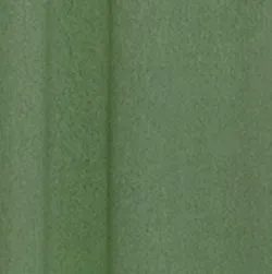 Forest material_farbe