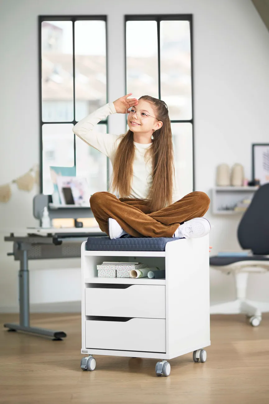 Sitzpolster für Rollcontainer milieu