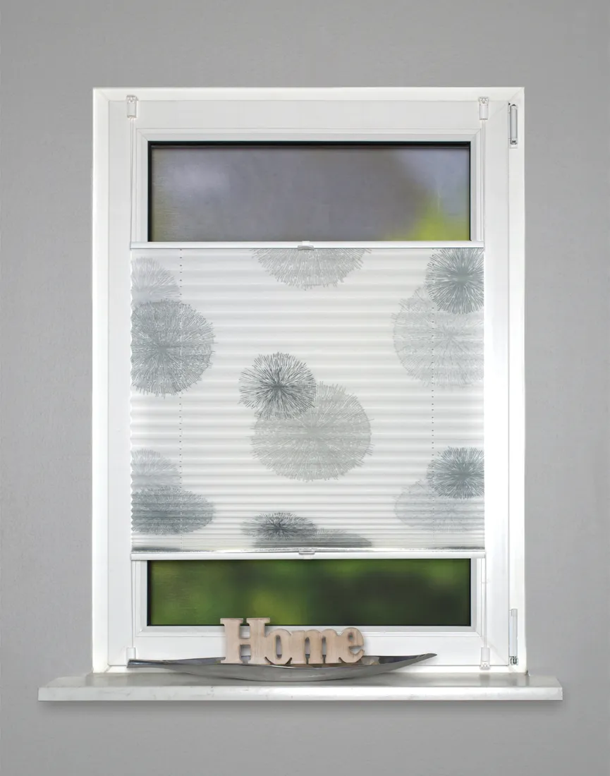 Plisseerollo Rawlins 80x130 milieu