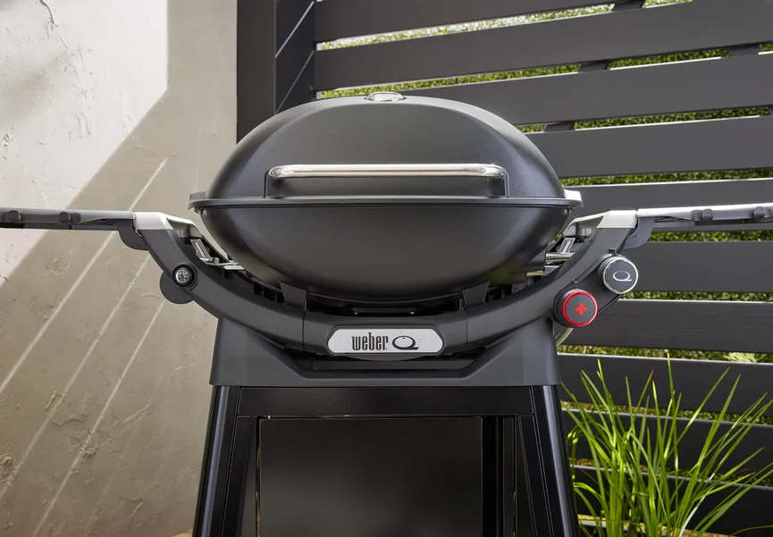 Weber Q3200N+ detail