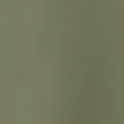 Forest material_farbe