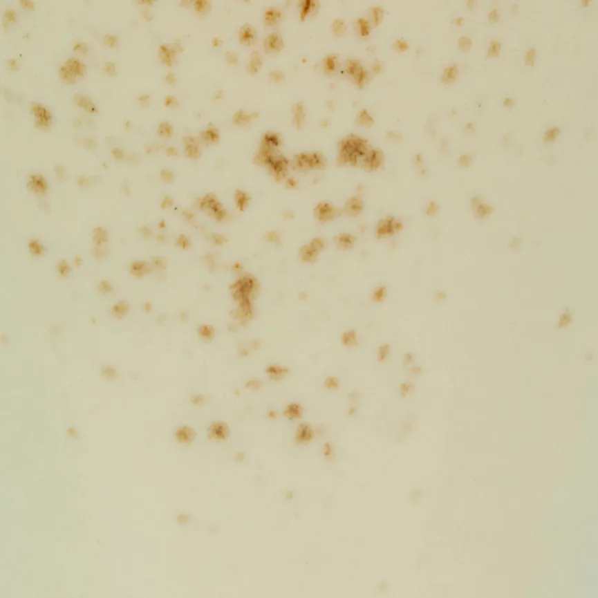 Becher "Nature Collection" material_farbe