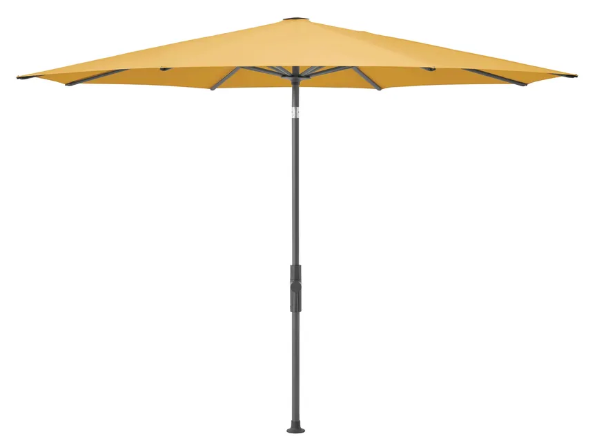 **Twist hauptaufnahme