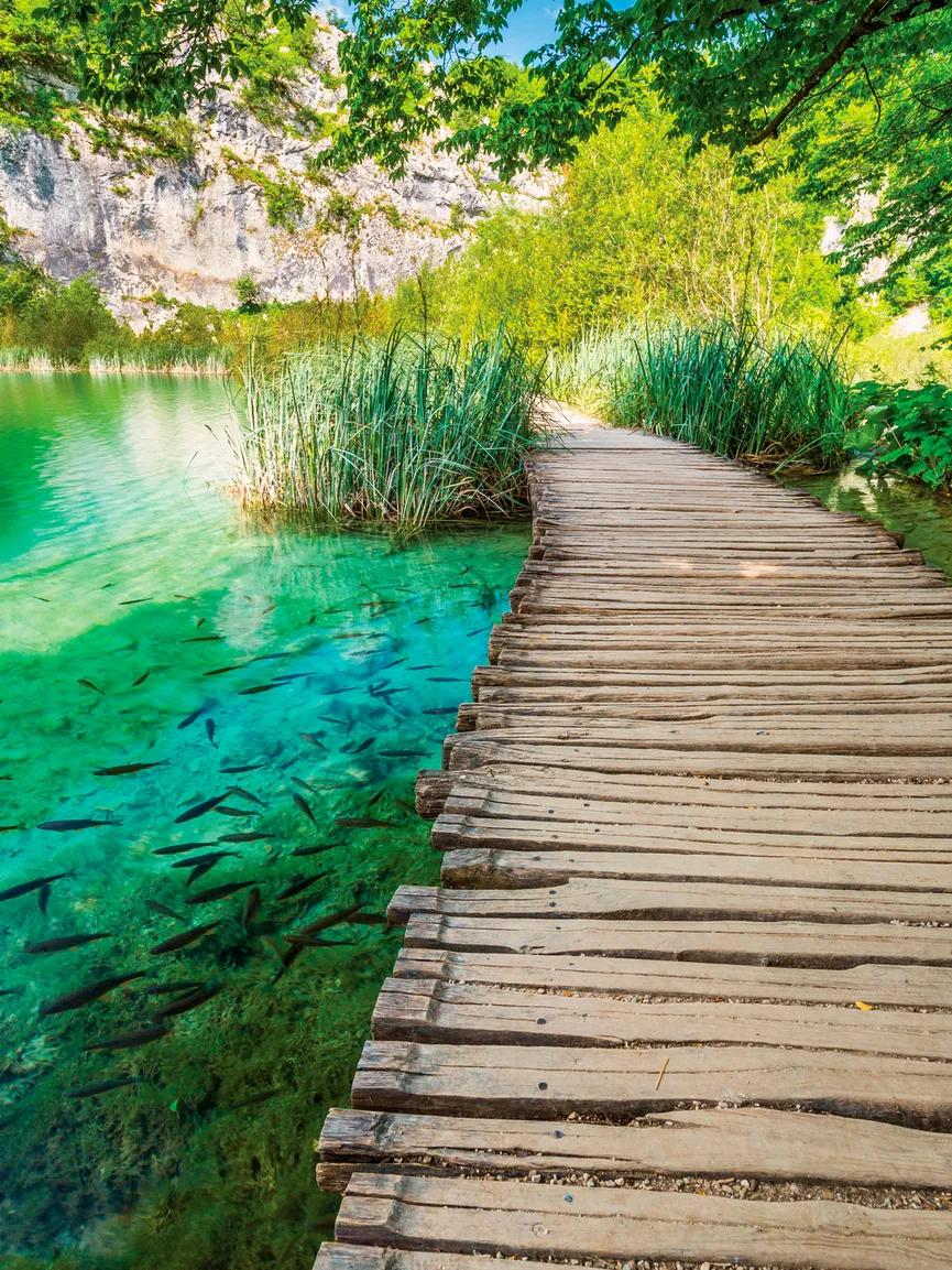 Wälder - Beautiful path II hauptaufnahme