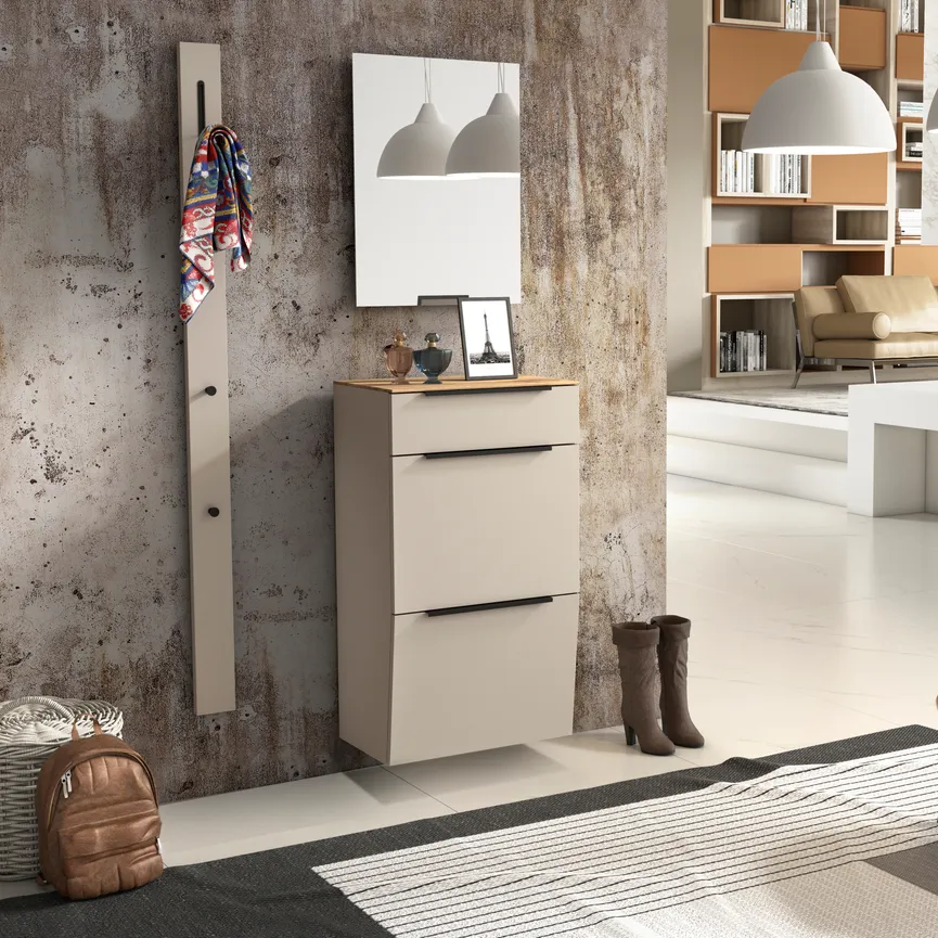Hänge-Schuhschrank milieu