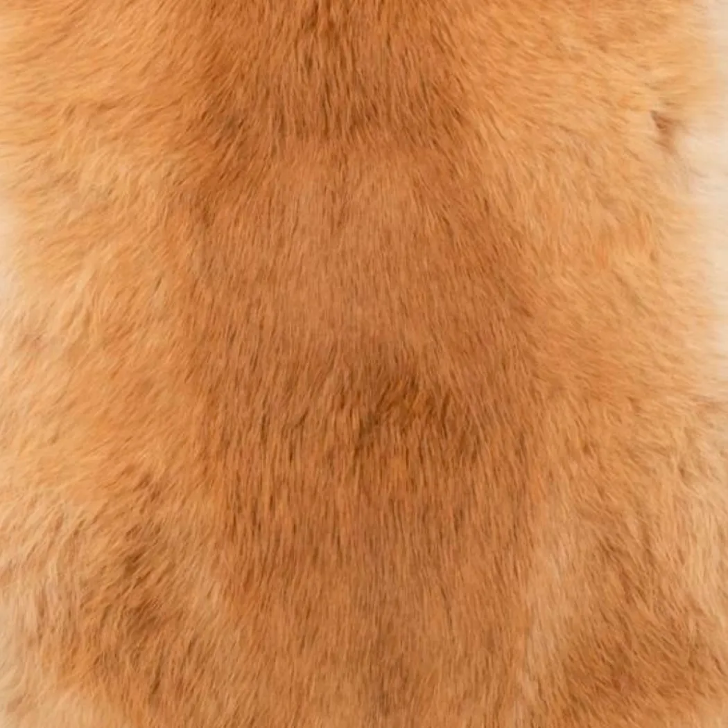 material_farbe