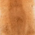 material_farbe