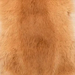 Beige material_farbe