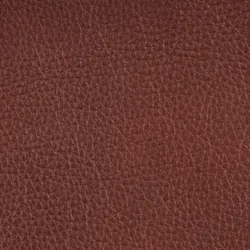 Red material_farbe