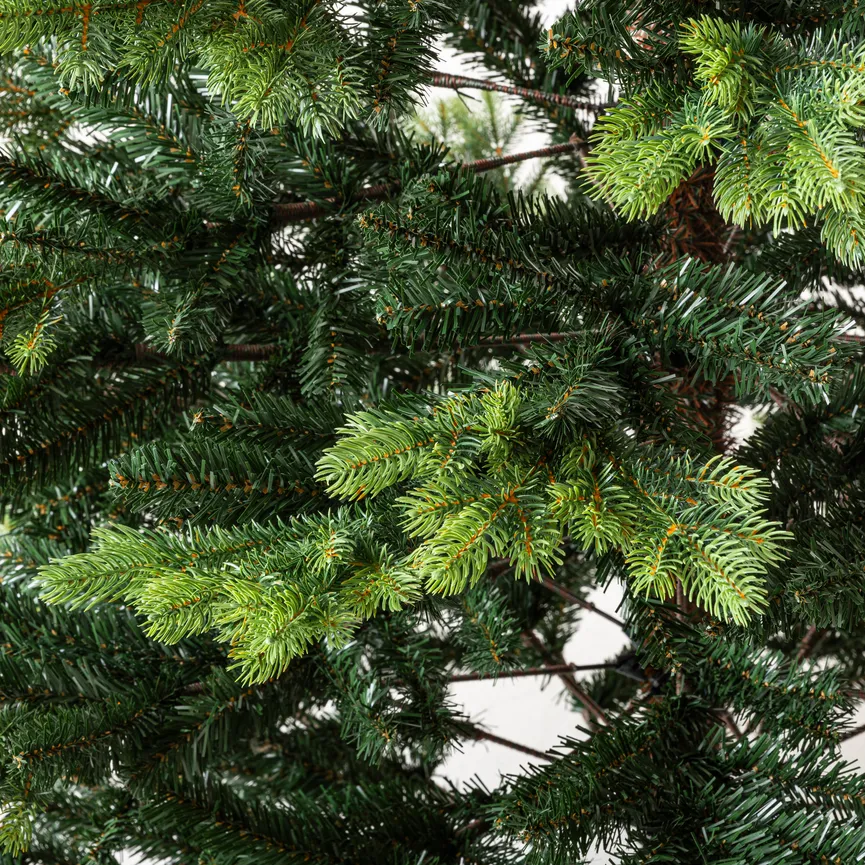 Tannenbaum XL detail