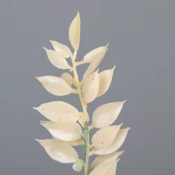 Creme material_farbe