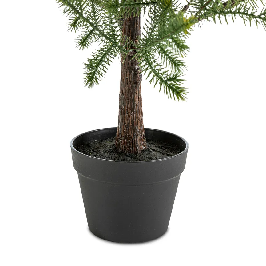 Tannenbaum M detail