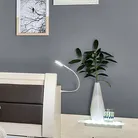 hauptaufnahme