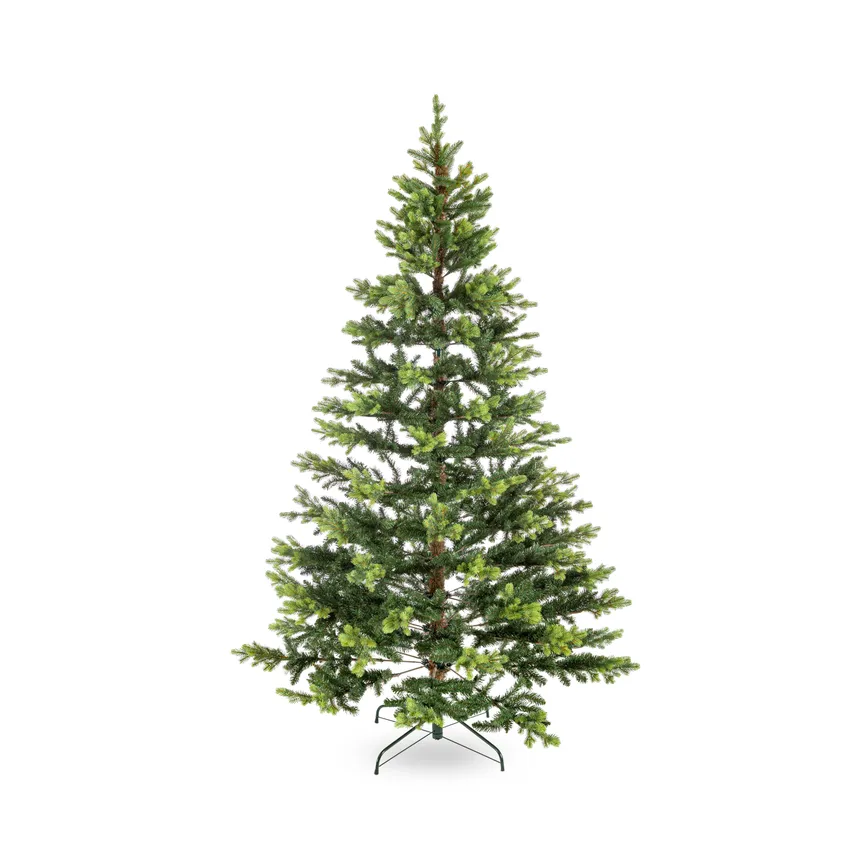 Tannenbaum XL hauptaufnahme