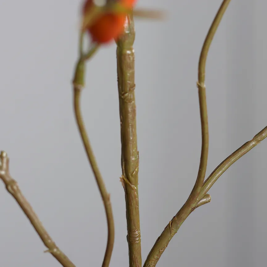 Hagebuttenzweig orange detail