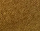 material_farbe