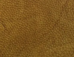 Curry material_farbe