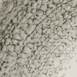 Stone material_farbe