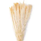 material_farbe
