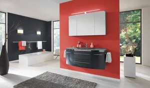 Spiegelschrank 
