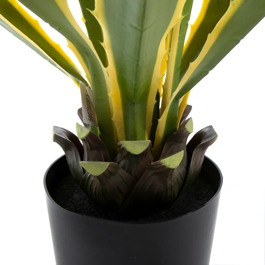 Agave M grün-gelb detail