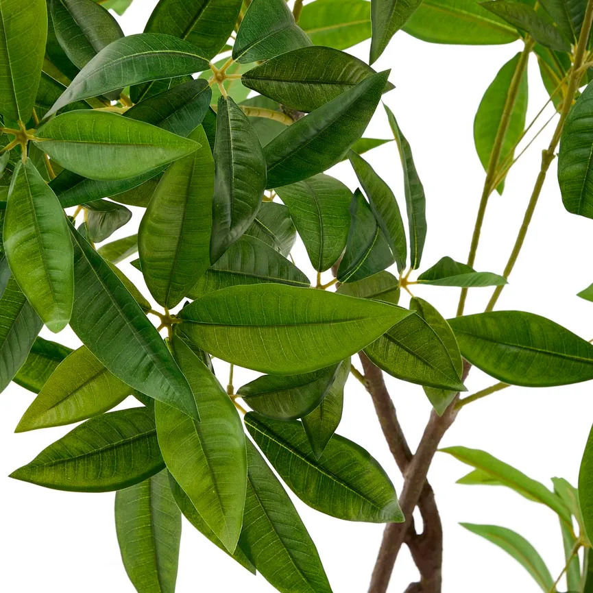 Kunstbaum Pachira detail