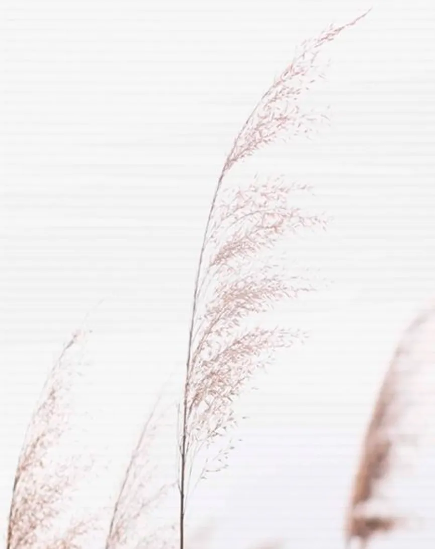 Schiebewand 3-er Set Pamilo material_farbe