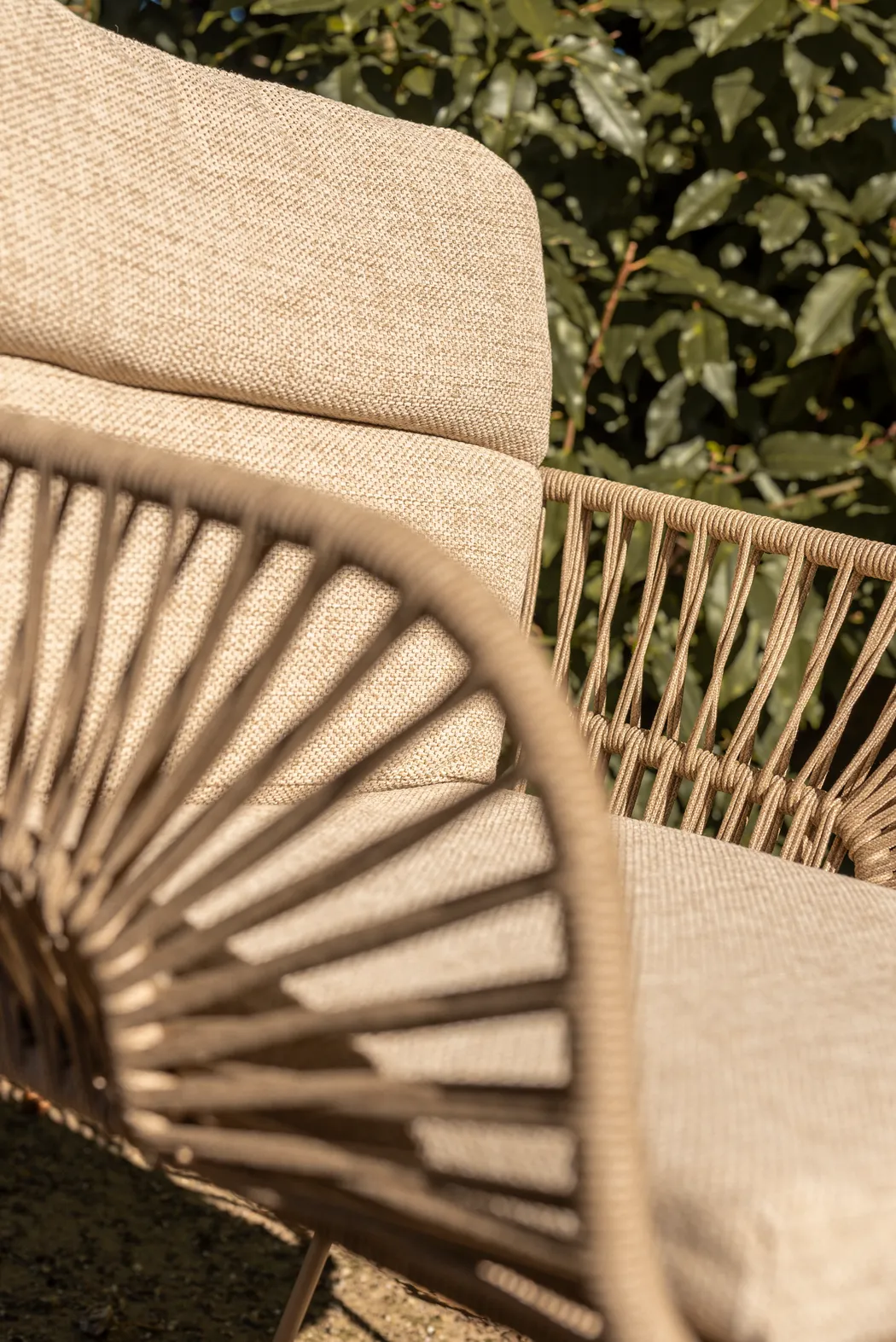 detail