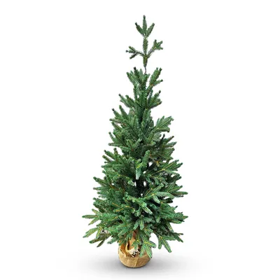 Weihnachtsbaum